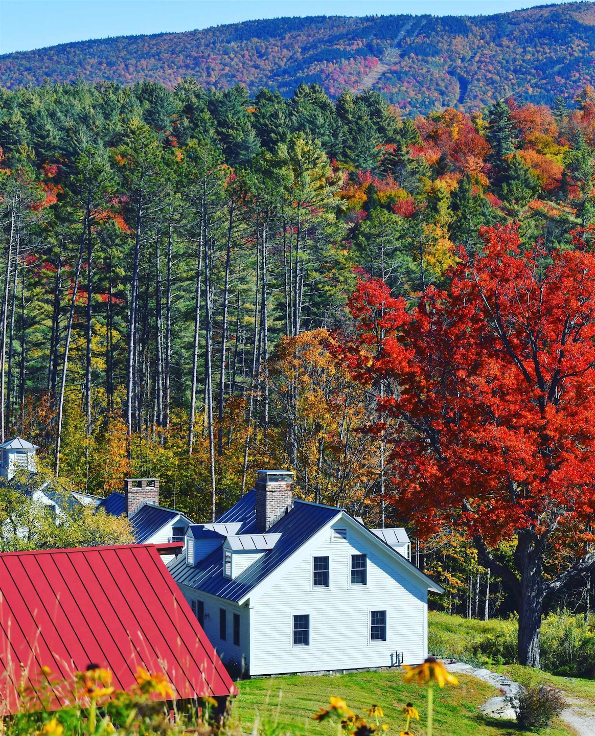 4669 Vermont Route 100, Londonderry, VT 05148 - photo 1