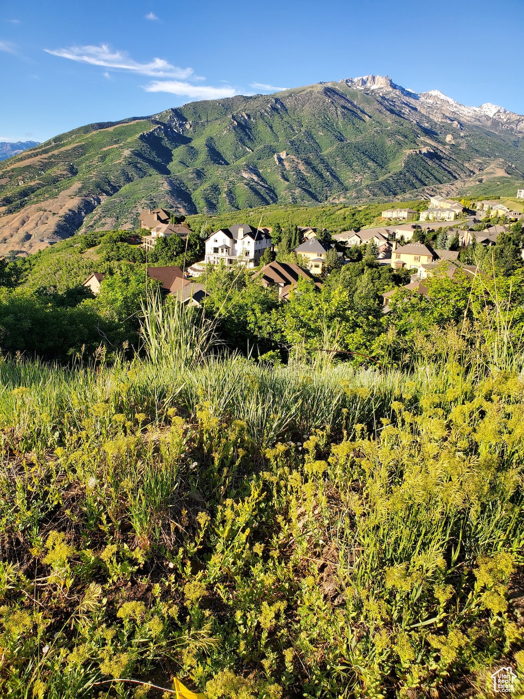 Mountain view featuring nearby suburban area