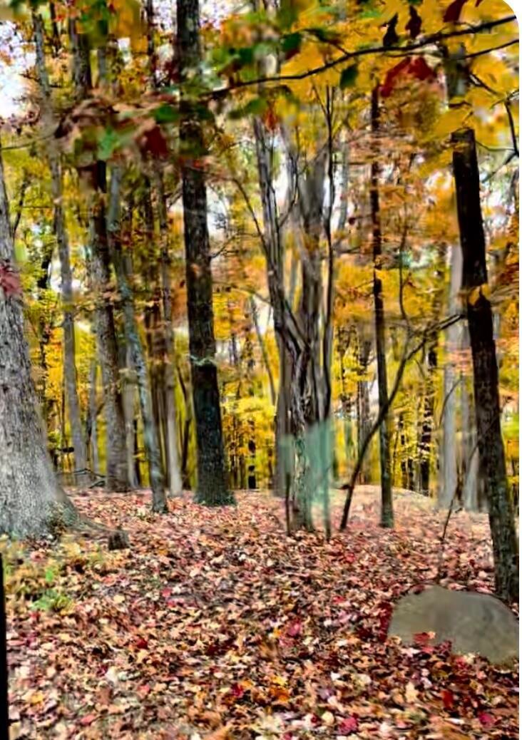 Lot 17 Vista Pkwy, Hardy, VA 24101 - photo 1