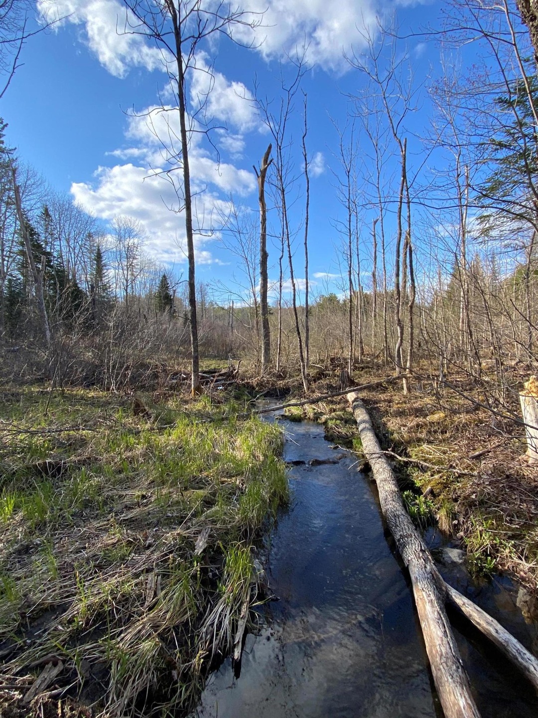 tbd N Dexter Rd, Sangerville, ME 04479 - photo 1
