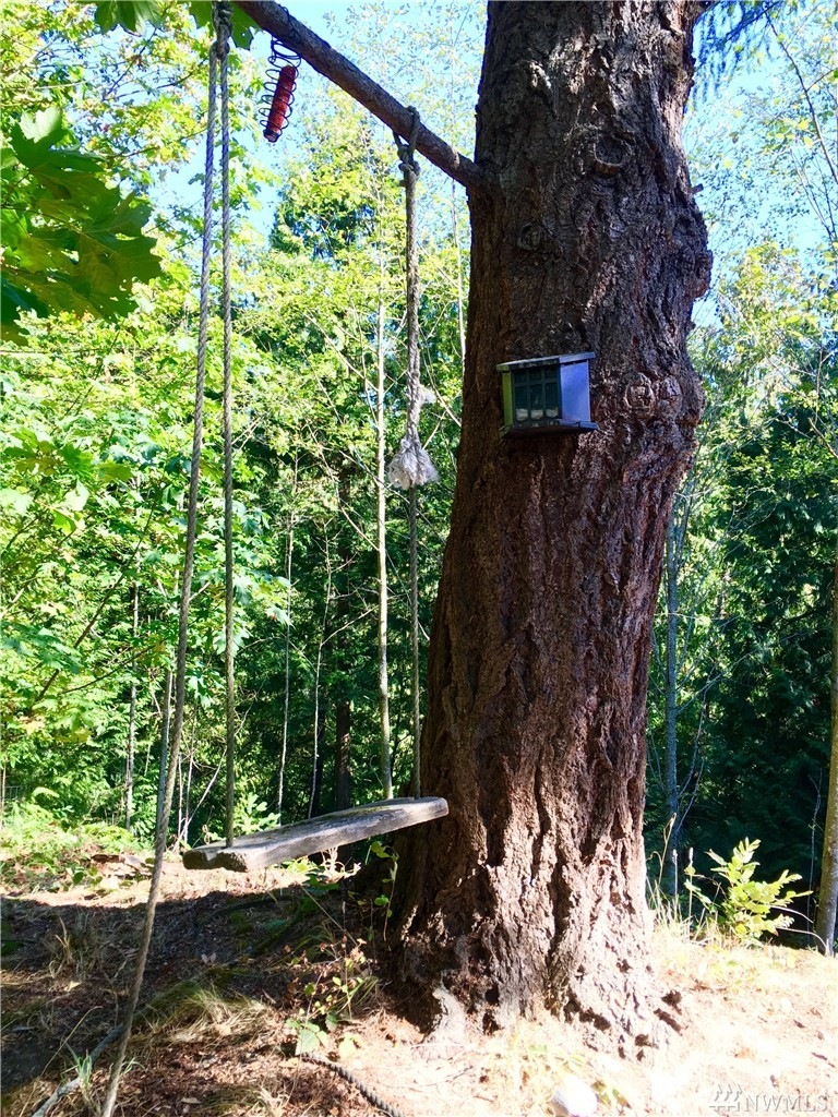 1556 Mt Baker Hwy, Bellingham, WA 98226 - photo 1