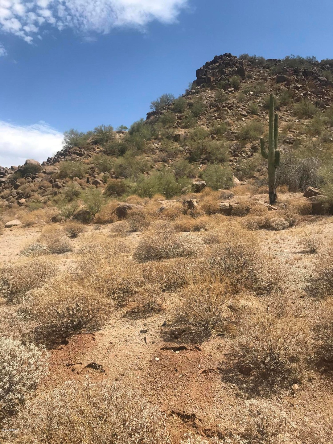 Beautiful for Backyard view