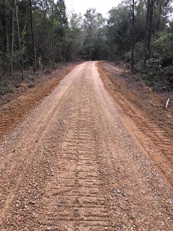 43056 Bateman Rd, Franklinton, LA 70438 - photo 1