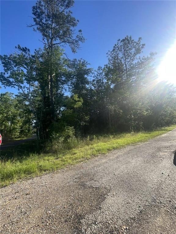 0 Ginger Ln unit SWL22004206, Ragley, LA 70657 - photo 1