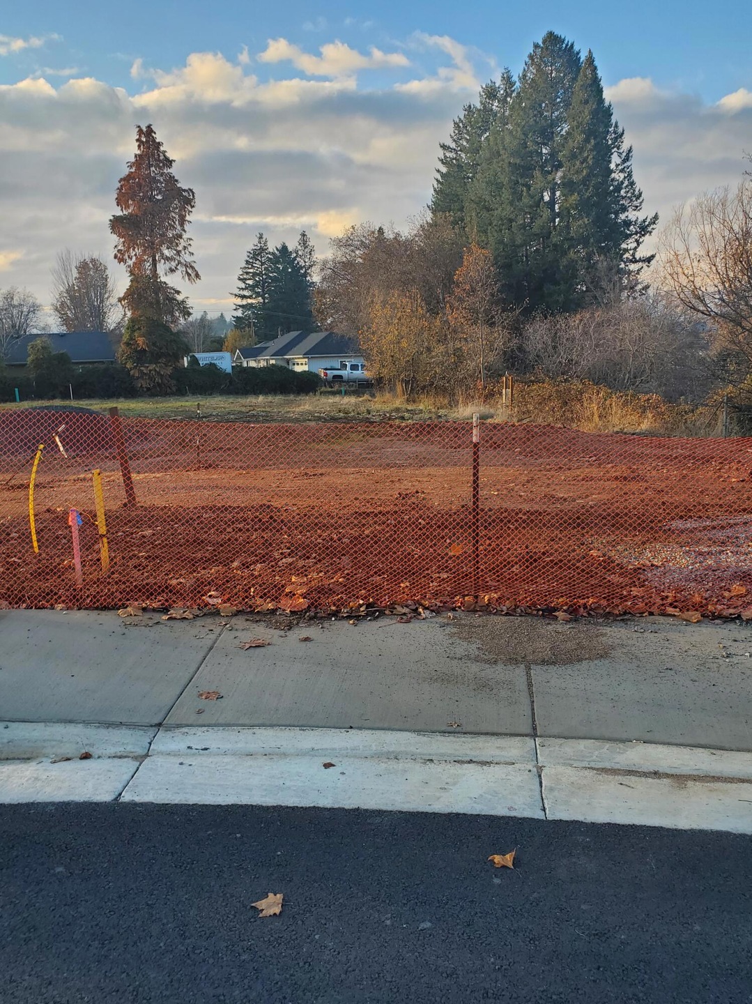 Lot #6 (3)