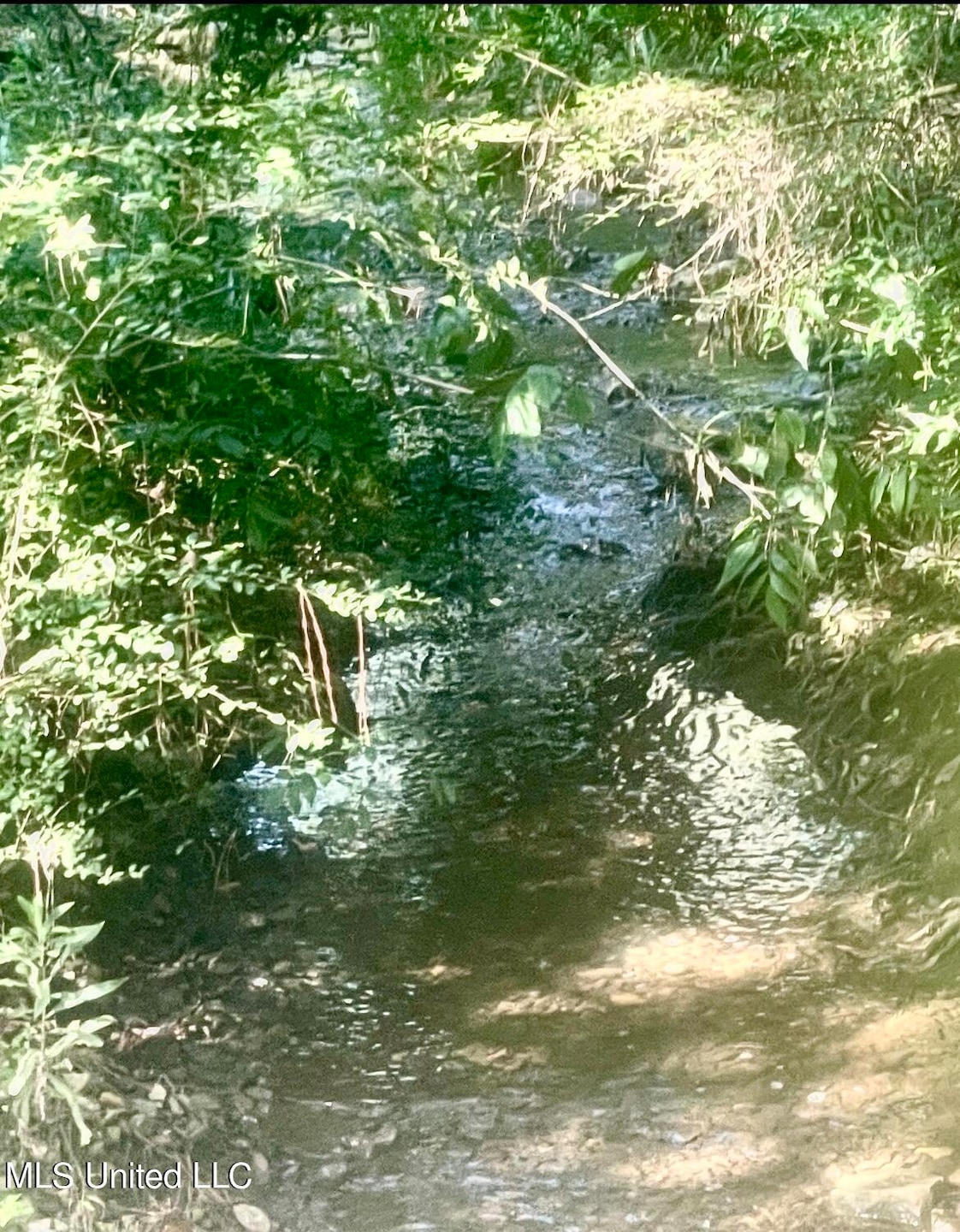 0000 Pabst Rd, Ocean Springs, MS 39564 - photo 1