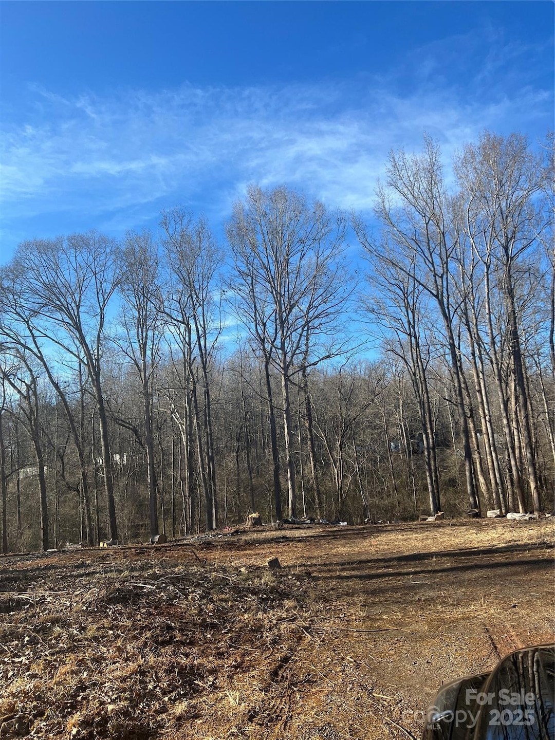 Sold $75,000 • Co-Listing Agent