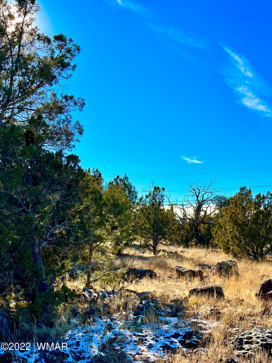 8789 Bruce Cir, Show Low, AZ 85901 - photo 1