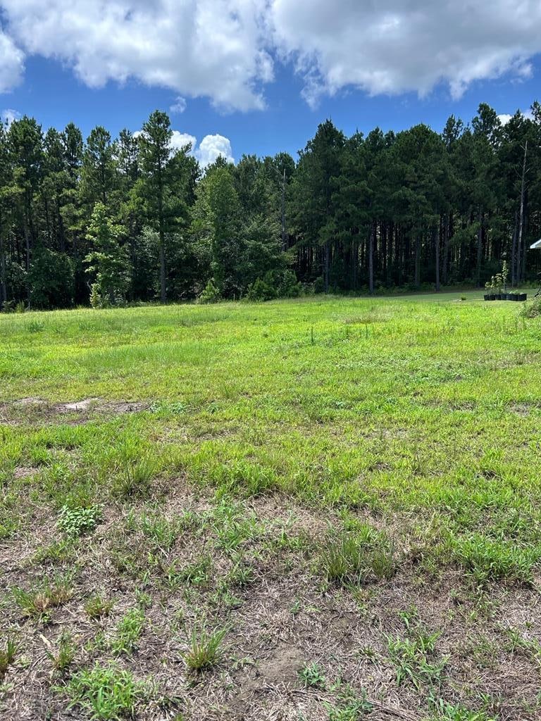 R143742 (Lot19) Dena Kay Dr, Lufkin, OK 74904 - photo 1
