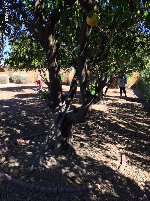 10450 N Balboa Dr, Sun City, AZ 85351 - photo 1