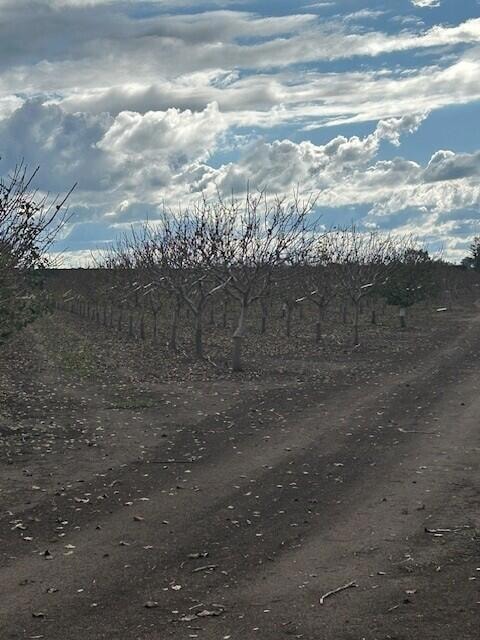 0 Ave 100 unit 238477, Terra Bella, CA 93270 - photo 1