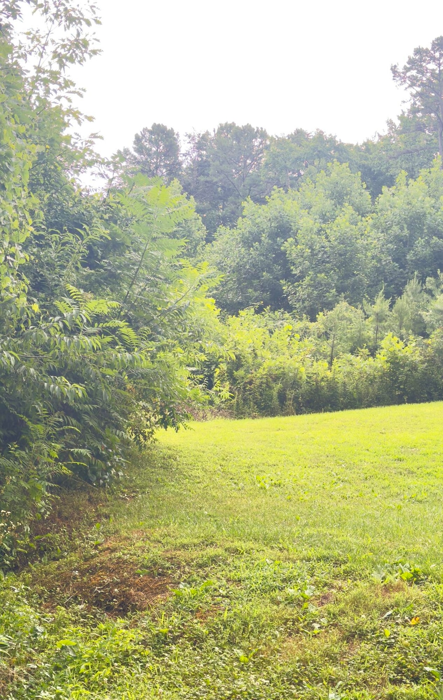 1111 Whitley Trails Subdivision, London, KY 40744 - photo 1