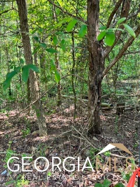 0 Ru de Cason May, Carnesville, GA 30521 - photo 1