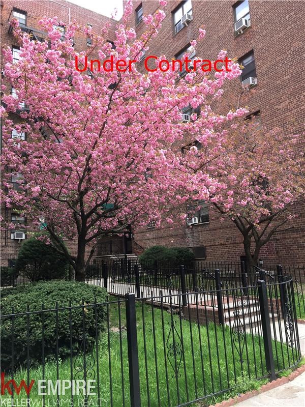 unlisted-address, Elmhurst, NY 11373 - photo 1