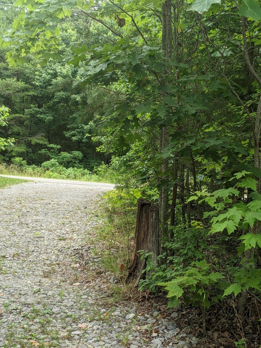 PXL_20210707_200432225