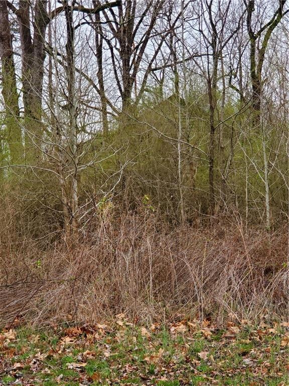 1 Bachelor Creek Rd, Seagrove, NC 27341 - photo 1