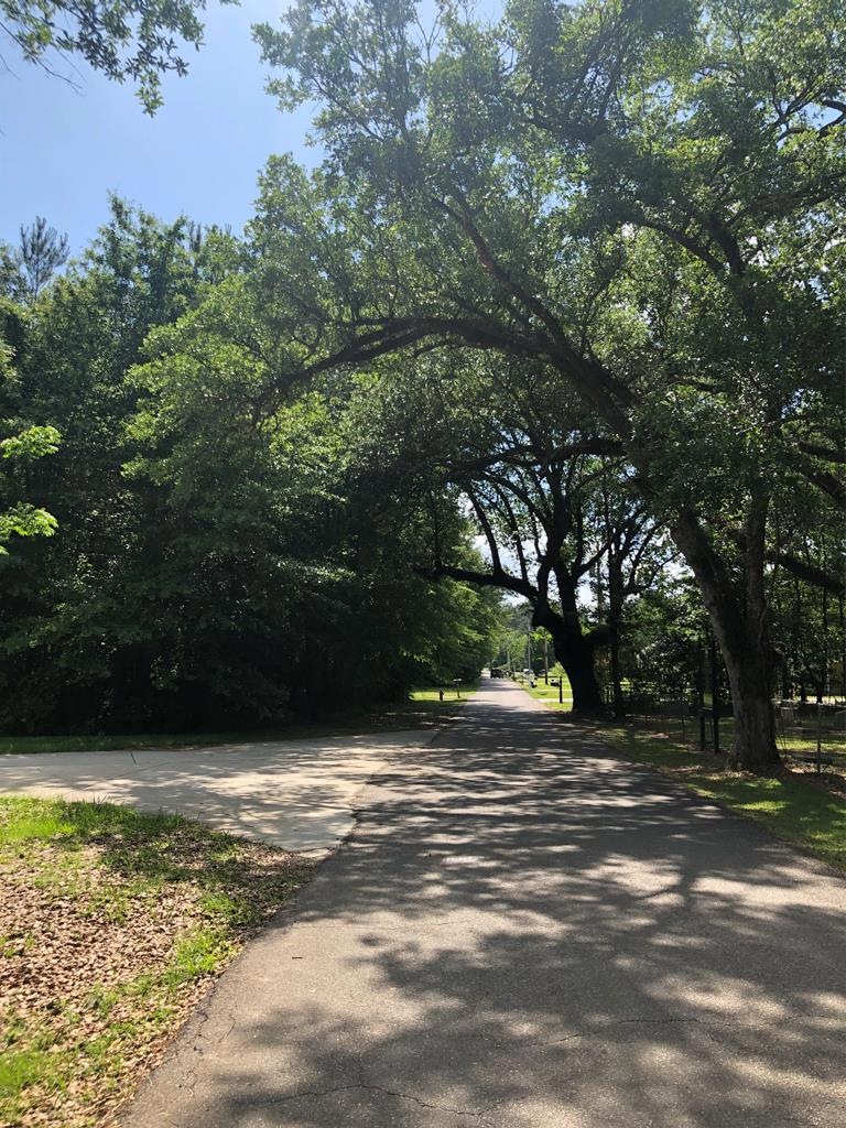 Lot 8 Williamsburg Rd, Picayune, MS 39466 - photo 1