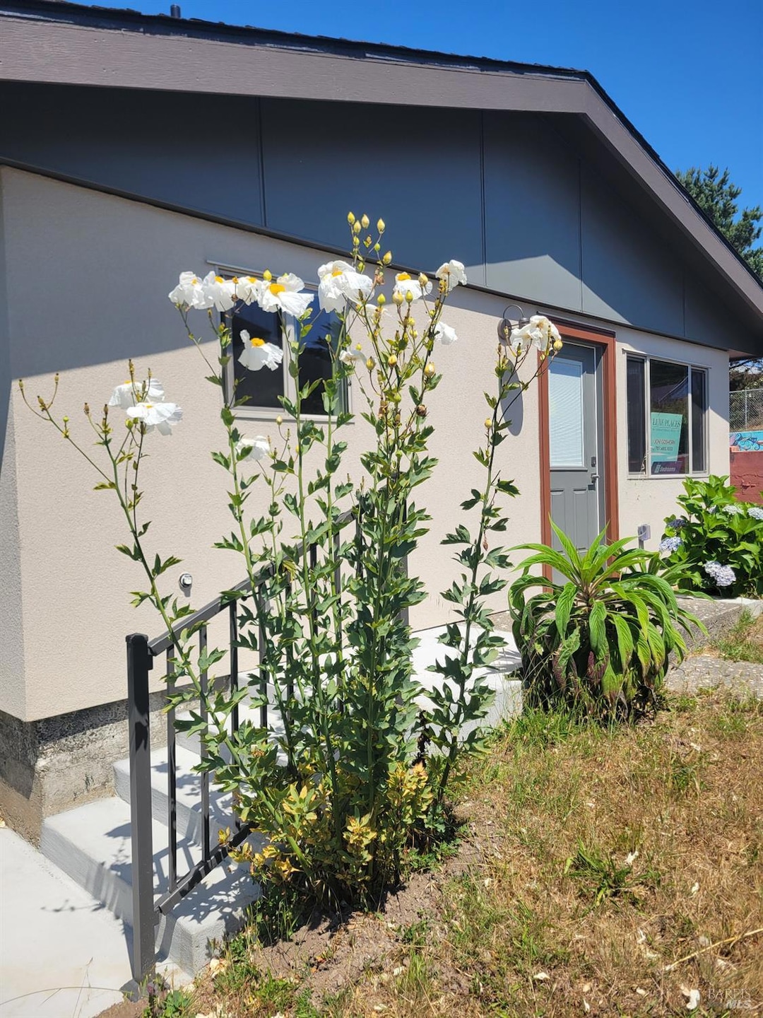 340 Main St, Point Arena, CA 95468 - photo 1