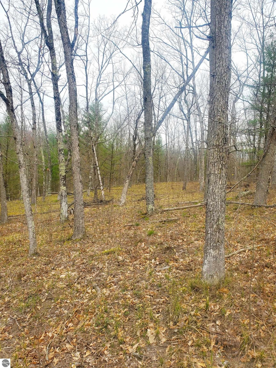 9577 N Woodbridge Dr, Bitely, MI 49309 - photo 1