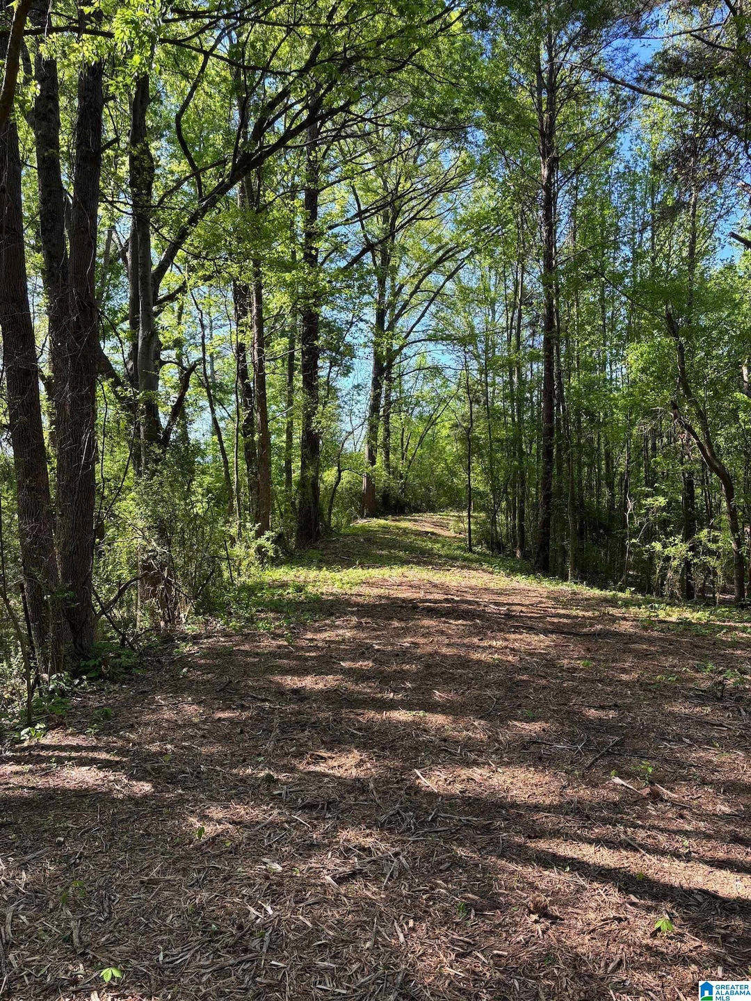 1401 Cobb Rd, Munford, AL 36268 - photo 1