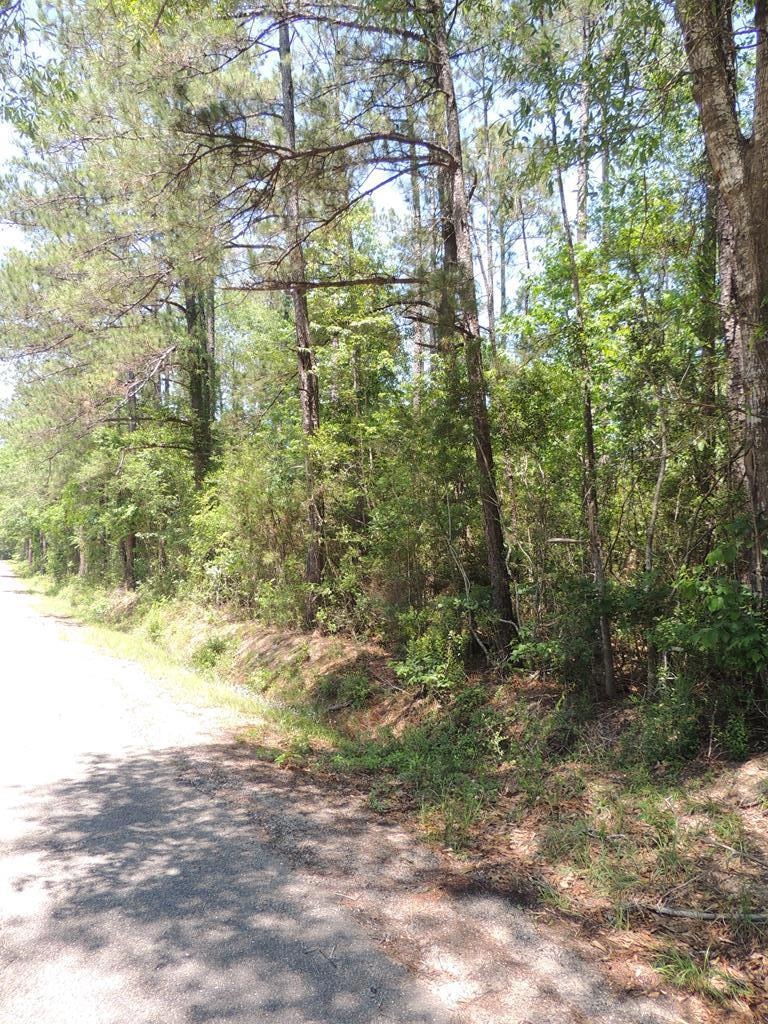 198 Hammock Rd, Carriere, MS 39426 - photo 1