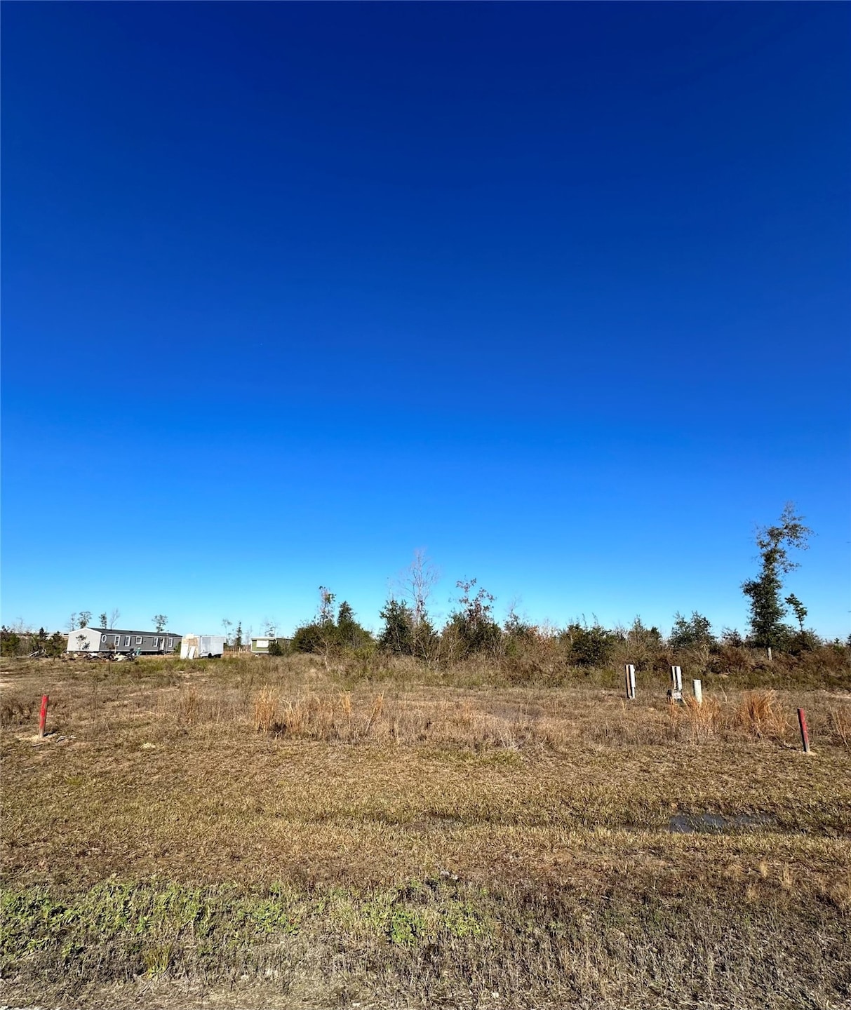 Lot 478