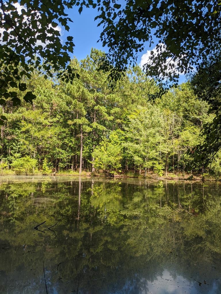 5266 White Oak Rd, Appling, GA 30802 - photo 1