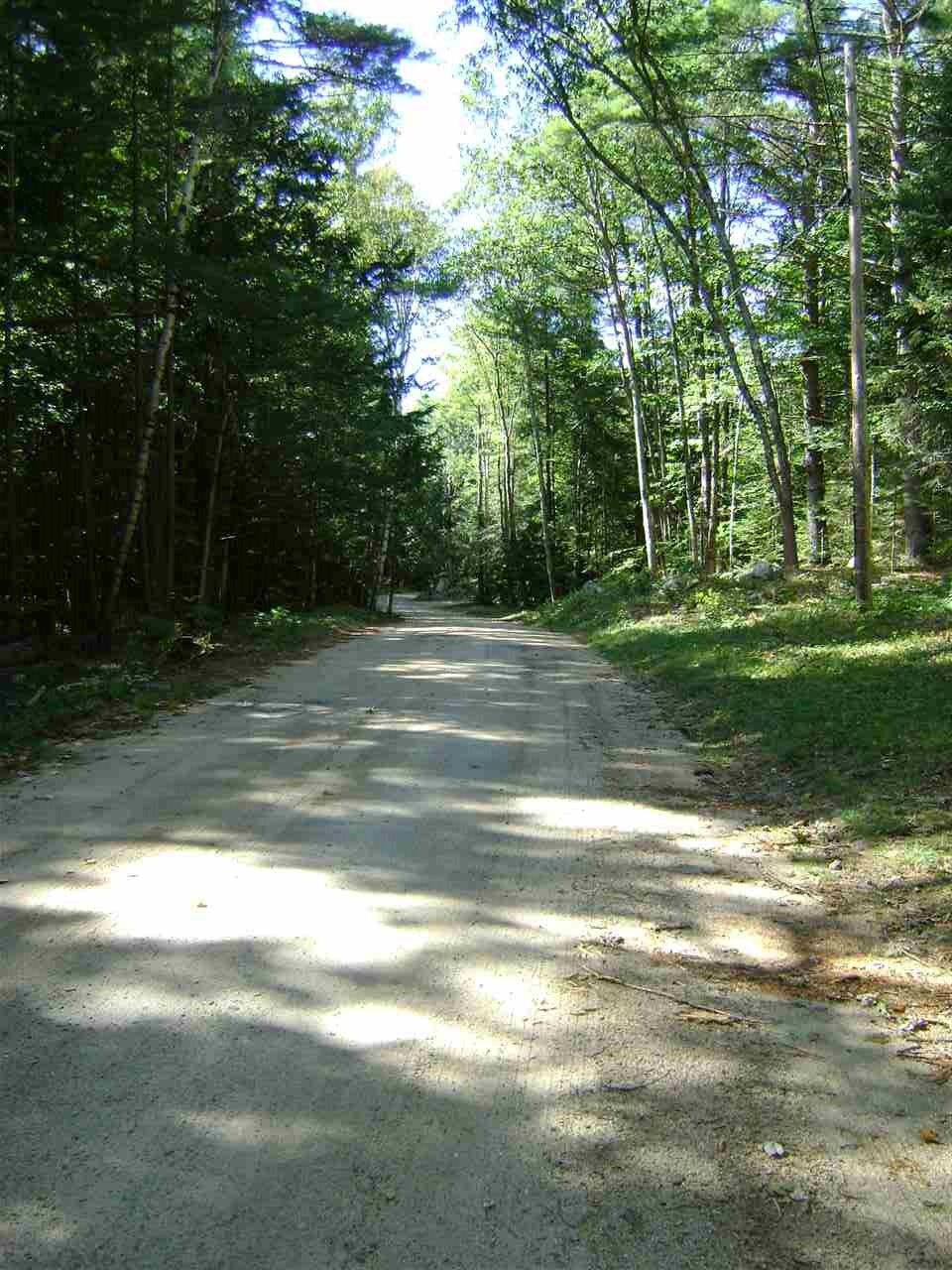 00 Berndorf unit 25.1, Moultonborough, NH 03254 - photo 1