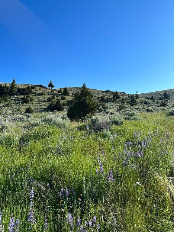 For Sale $454,000 • Co-Listing Agent