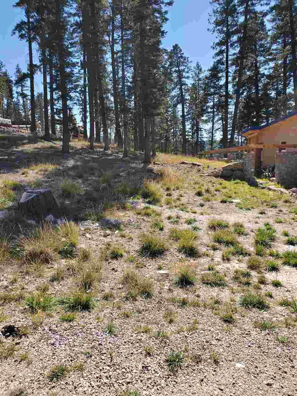 View of Lot from Rainmaker Loop looking south.