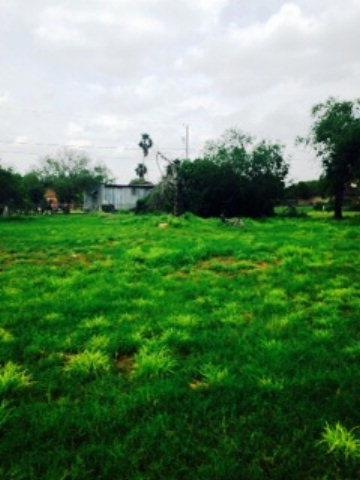 209 N 1st St, Donna, TX 78537 - photo 1