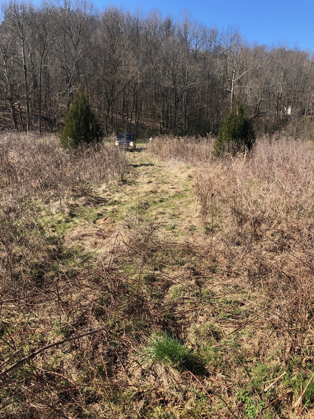 327 Field Dr, Linden, TN 37096 - photo 1