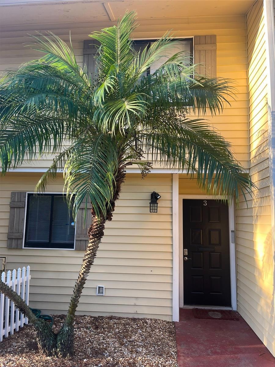 22630 Gage Loop unit 3, Land O Lakes, FL 34639 - photo 1