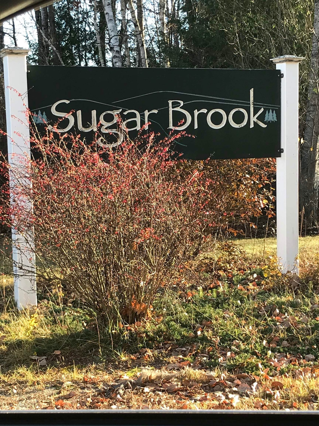 43 Brook View Rd, Newport, NH 03773 - photo 1