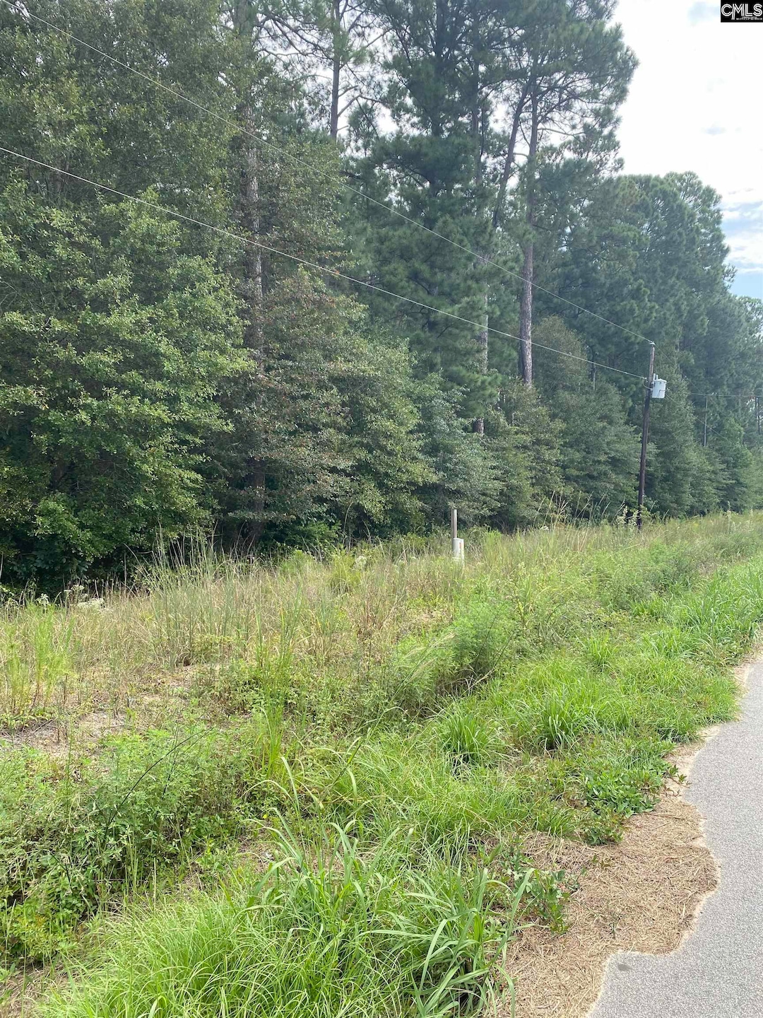 5445 Dubose Siding Rd, Sumter, SC 29153 - photo 1