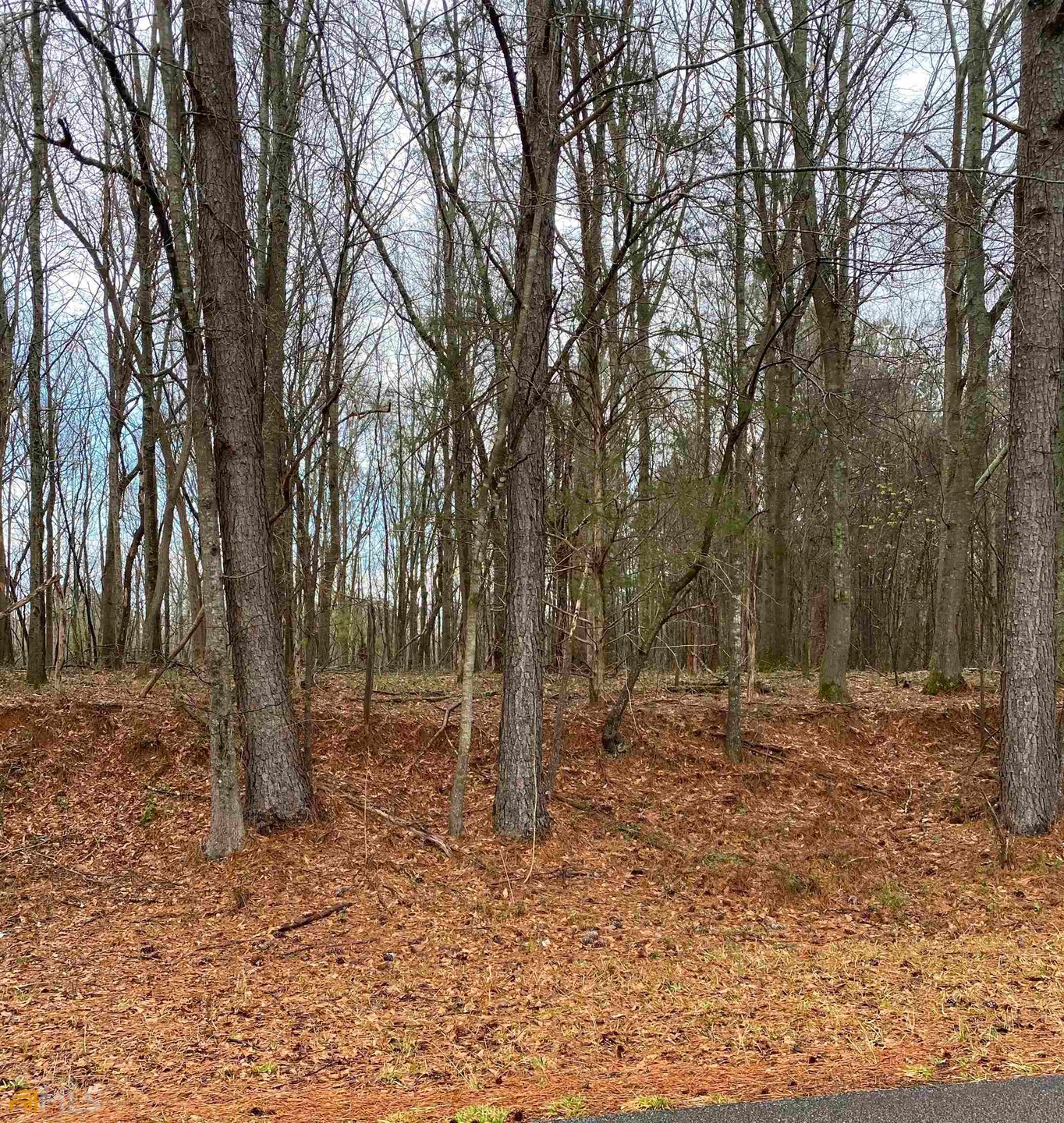 0 Cheek Rd unit 20024302, Monroe, GA 30655 - photo 1