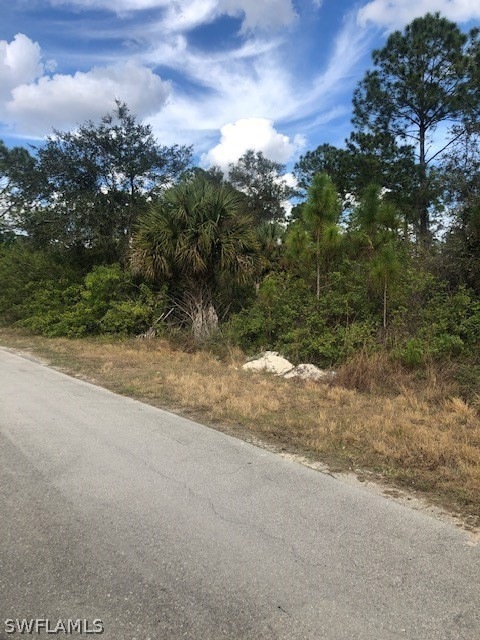 2110 Robert Ave, Alva, FL 33920 - photo 1