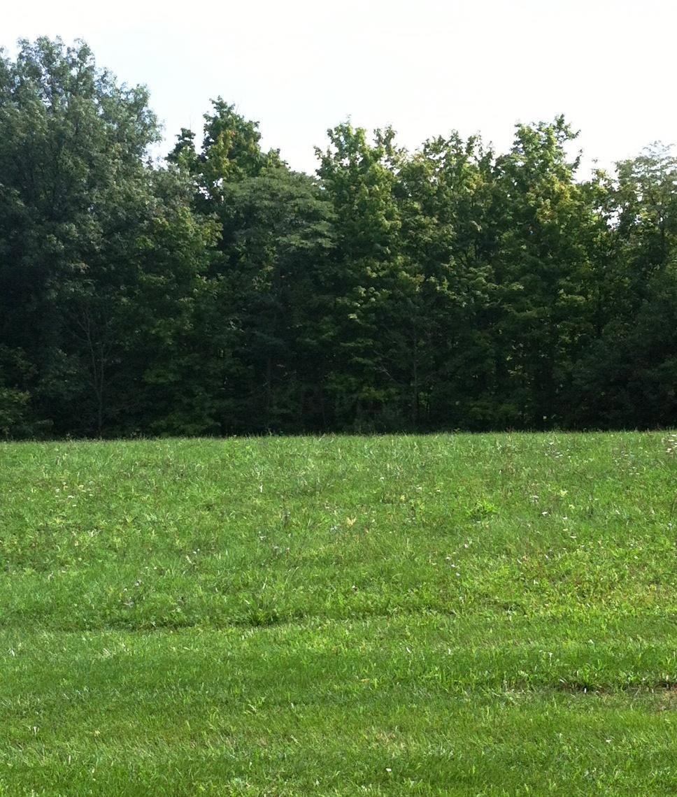 6905 Harriott Rd, Powell, OH 43065 - photo 1