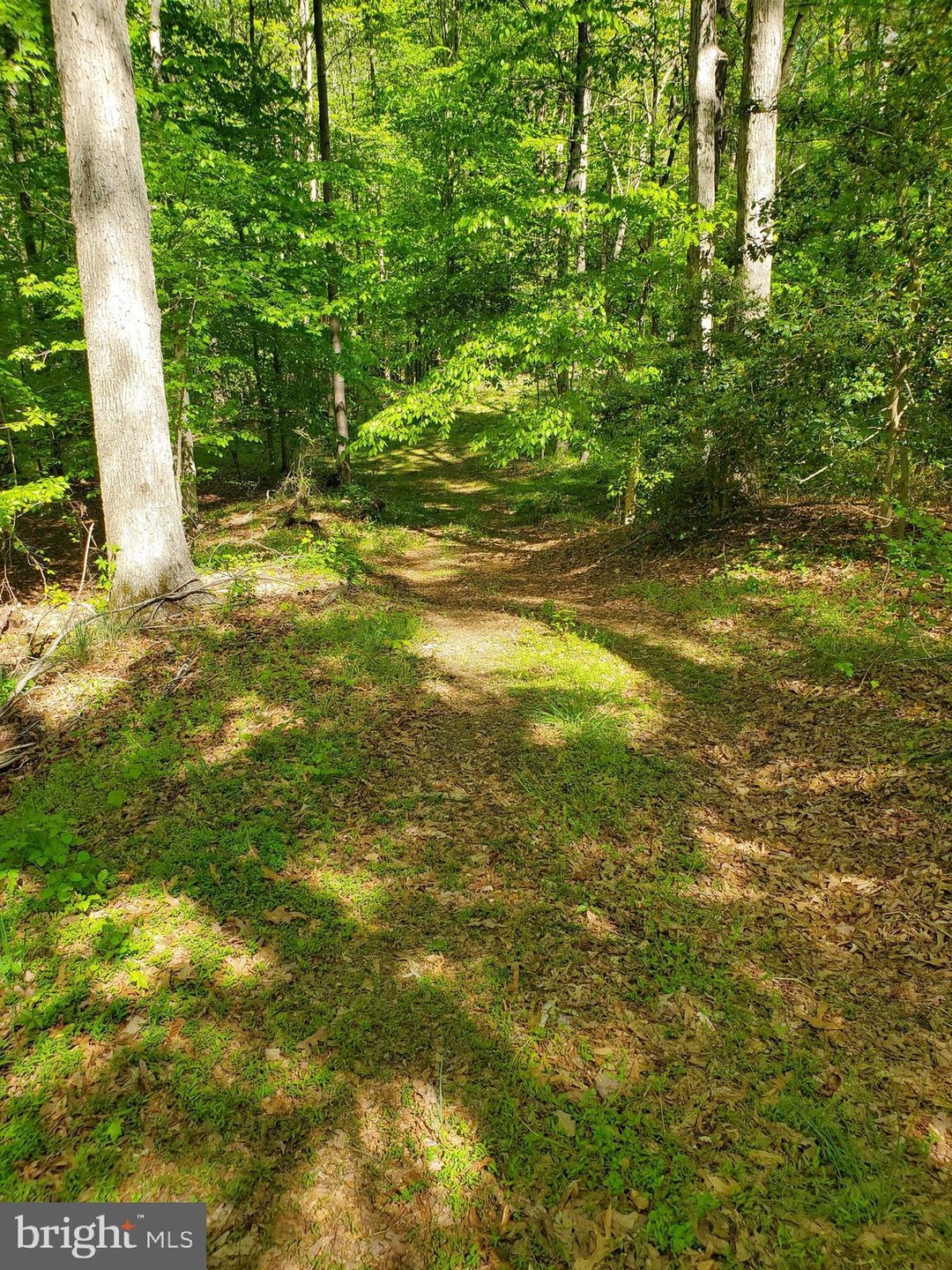 3919 & 3915 Hunting Creek Rd, Huntingtown, MD 20639 - photo 1