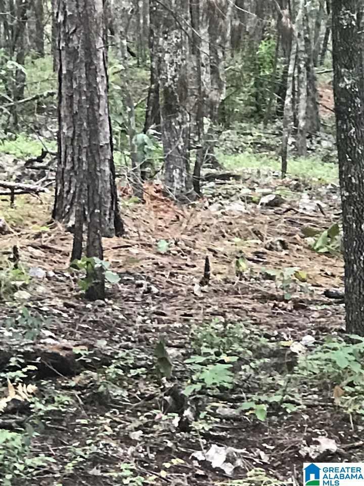 0 Bay Pointe Dr unit 91 21374546, Alpine, AL 35014 - photo 1