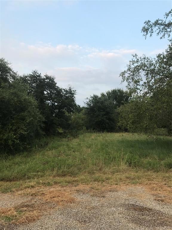 14063 Sandy Oaks Ct, Whitney, TX 76692 - photo 1