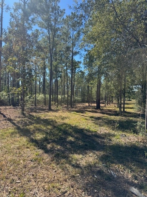 TBD FM 350 South, Lo Farm To Market 350, Livingston, TX 77351 - photo 1