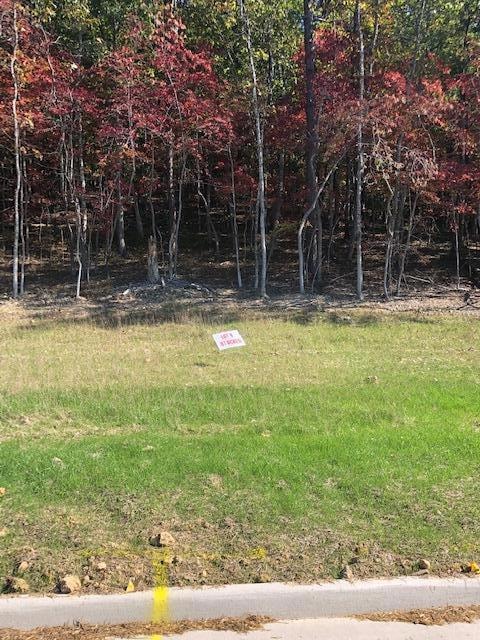 5566 Hunt Camp Rd, Cave Spring, VA 24018 - photo 1