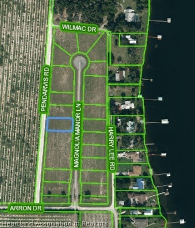 121 S Magnolia Ave, Lake Placid, FL 33852 - photo 1