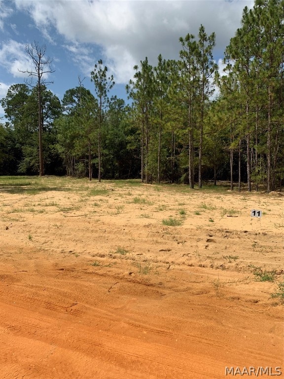 Lot 11 Deer Loop