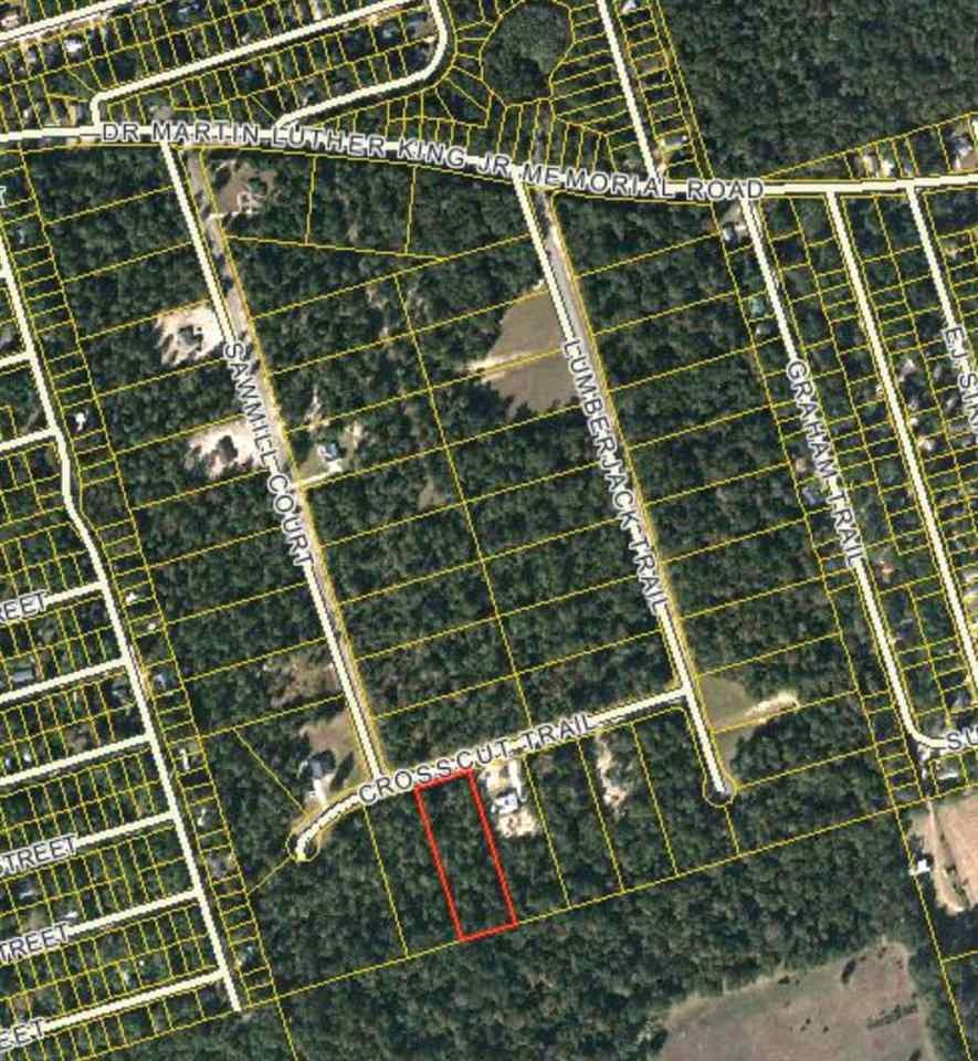 Lot 16 Cross Cut Trail, Crawfordville, FL 32327 - photo 1