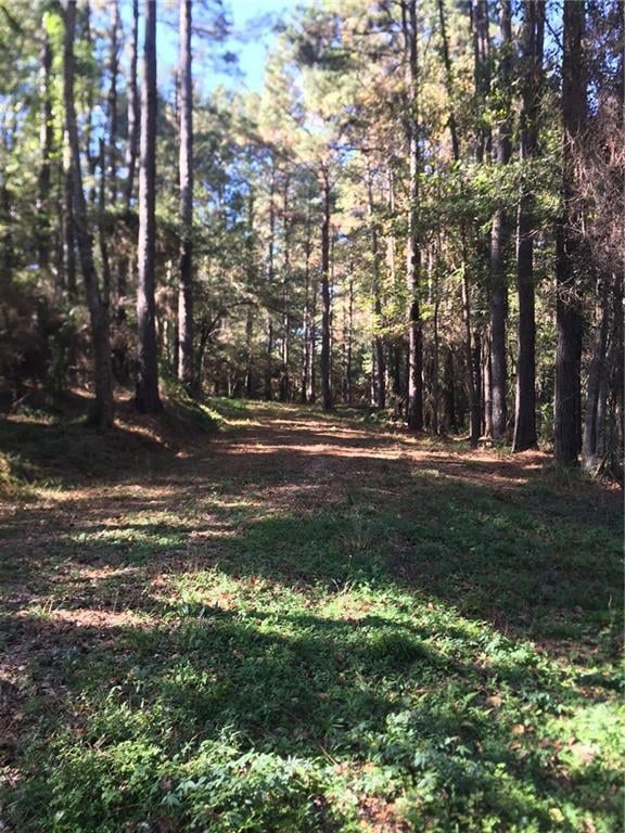 tbd Louisiana 438, Franklinton, LA 70438 - photo 1