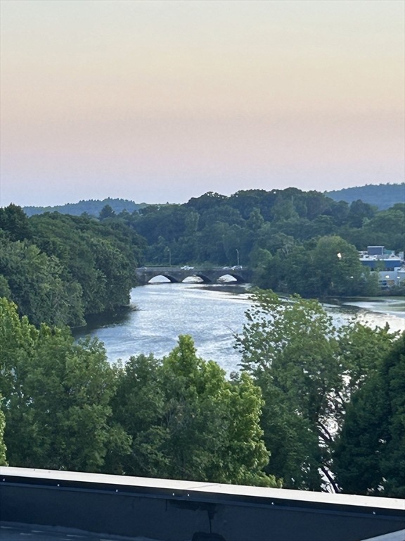 99 Moody St unit 6, Waltham, MA 02453 - photo 1