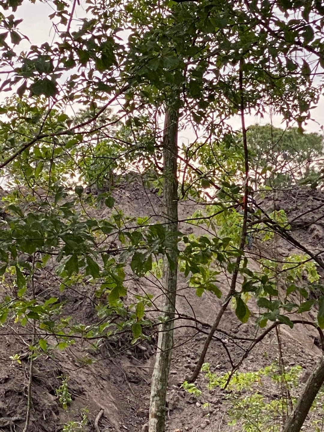 0 Rosedale Ln unit 1049710, Jacksonville, FL 32244 - photo 1