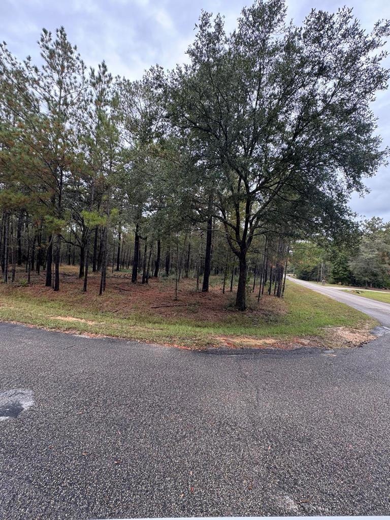 NHN Lost Creek Ln, Picayune, MS 39466 - photo 1